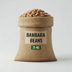 Bambara Beans