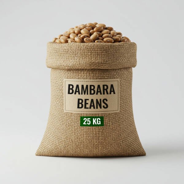 Bambara Beans