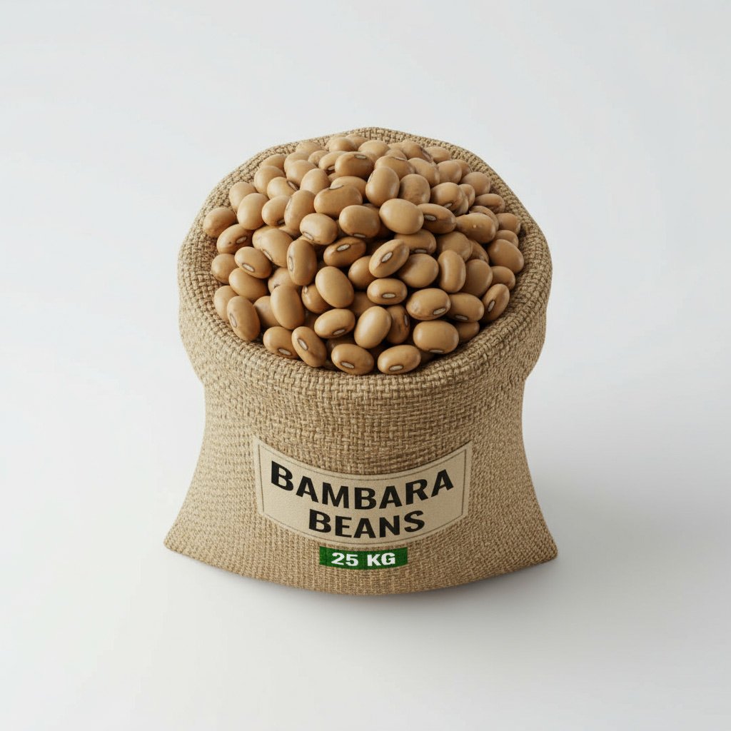 Bambara Beans - Image 4