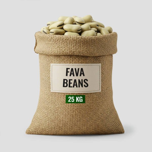Fava Beans (Broad Beans)