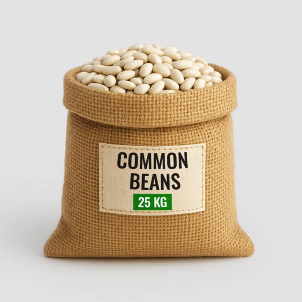 Common Beans