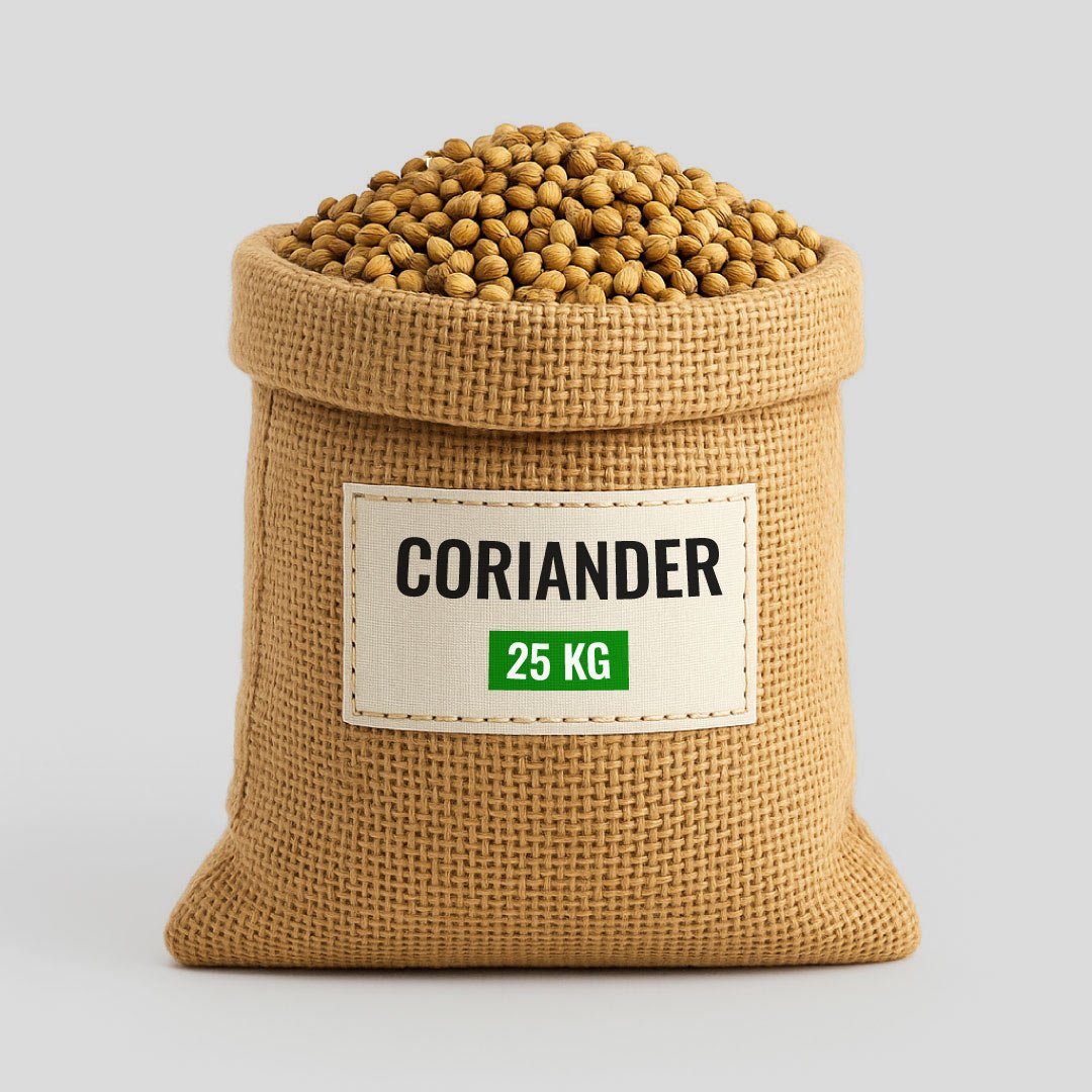 Coriander
